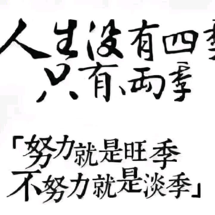 如有一天我辉煌，