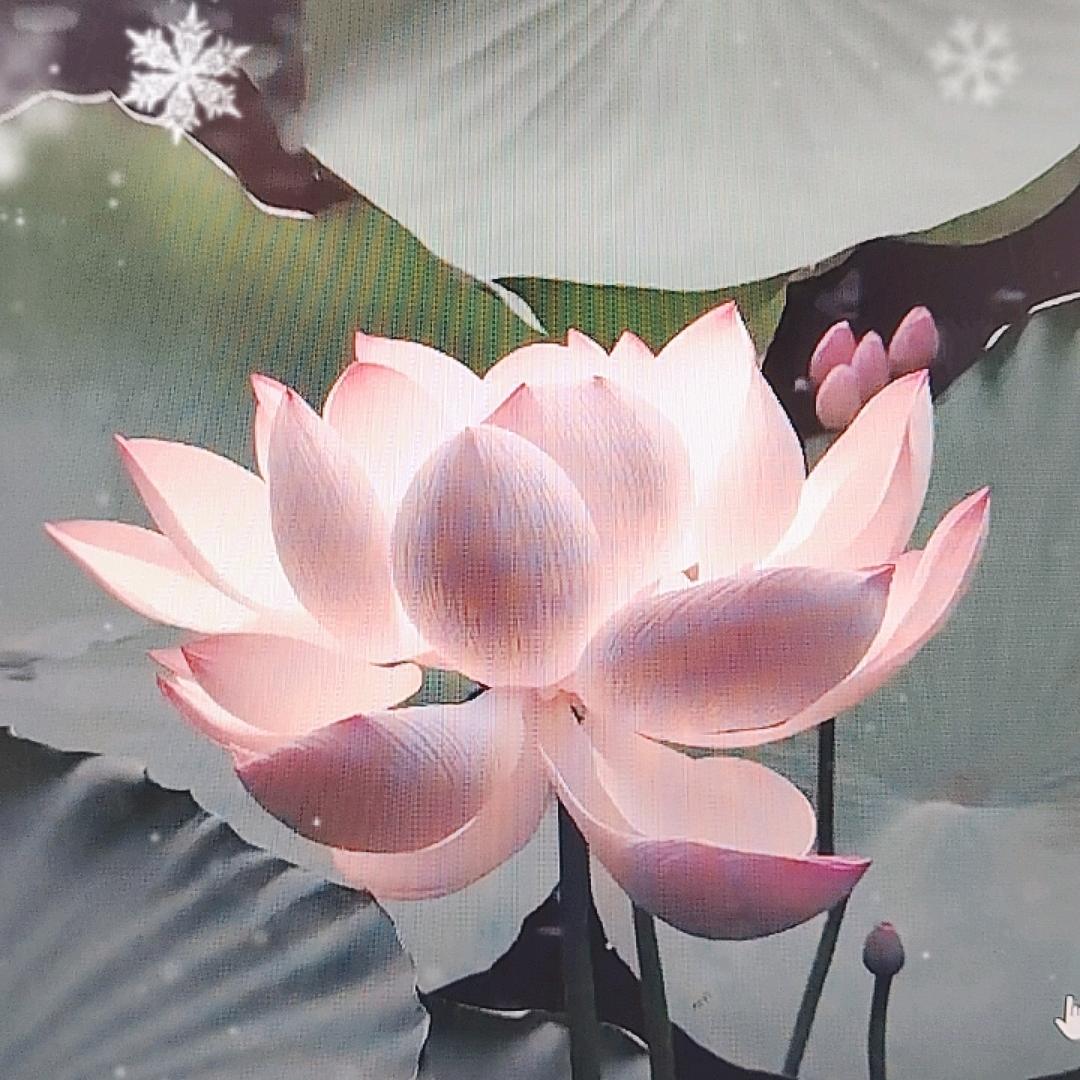 心静有佛