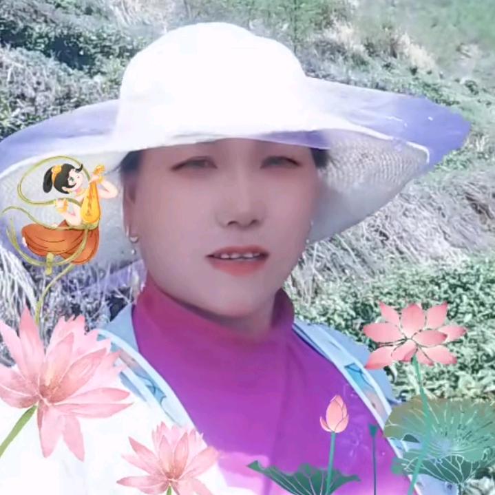平平淡淡一生