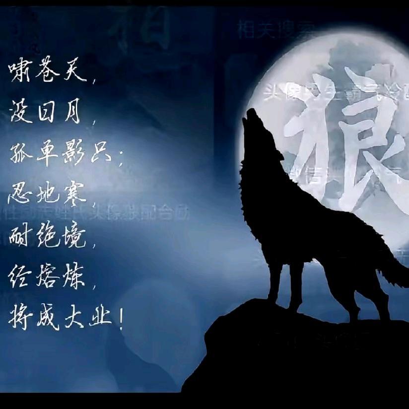 💯刺🔥心💥的⚡️狼⚡️💥