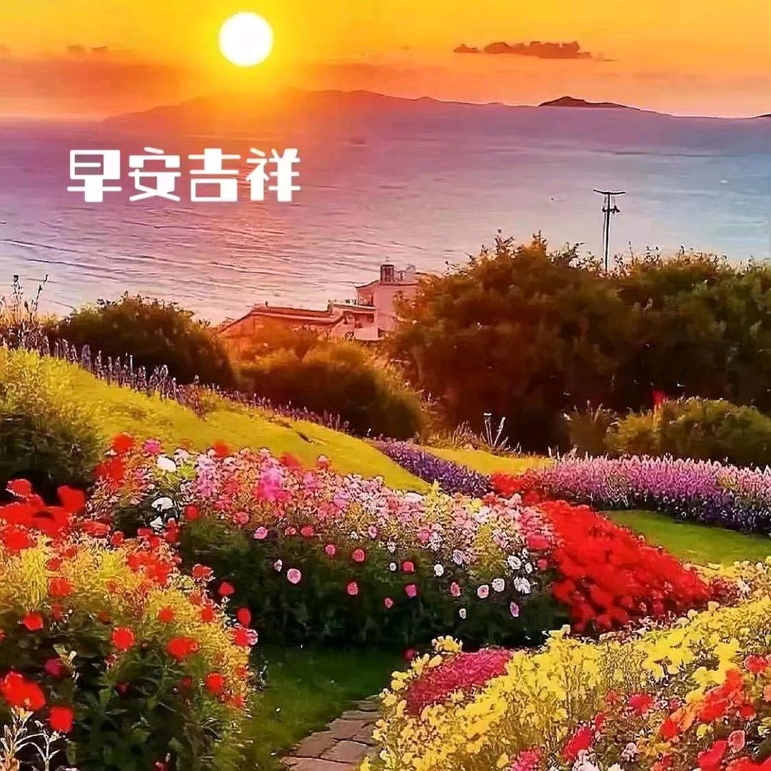 如意如意顺我心意