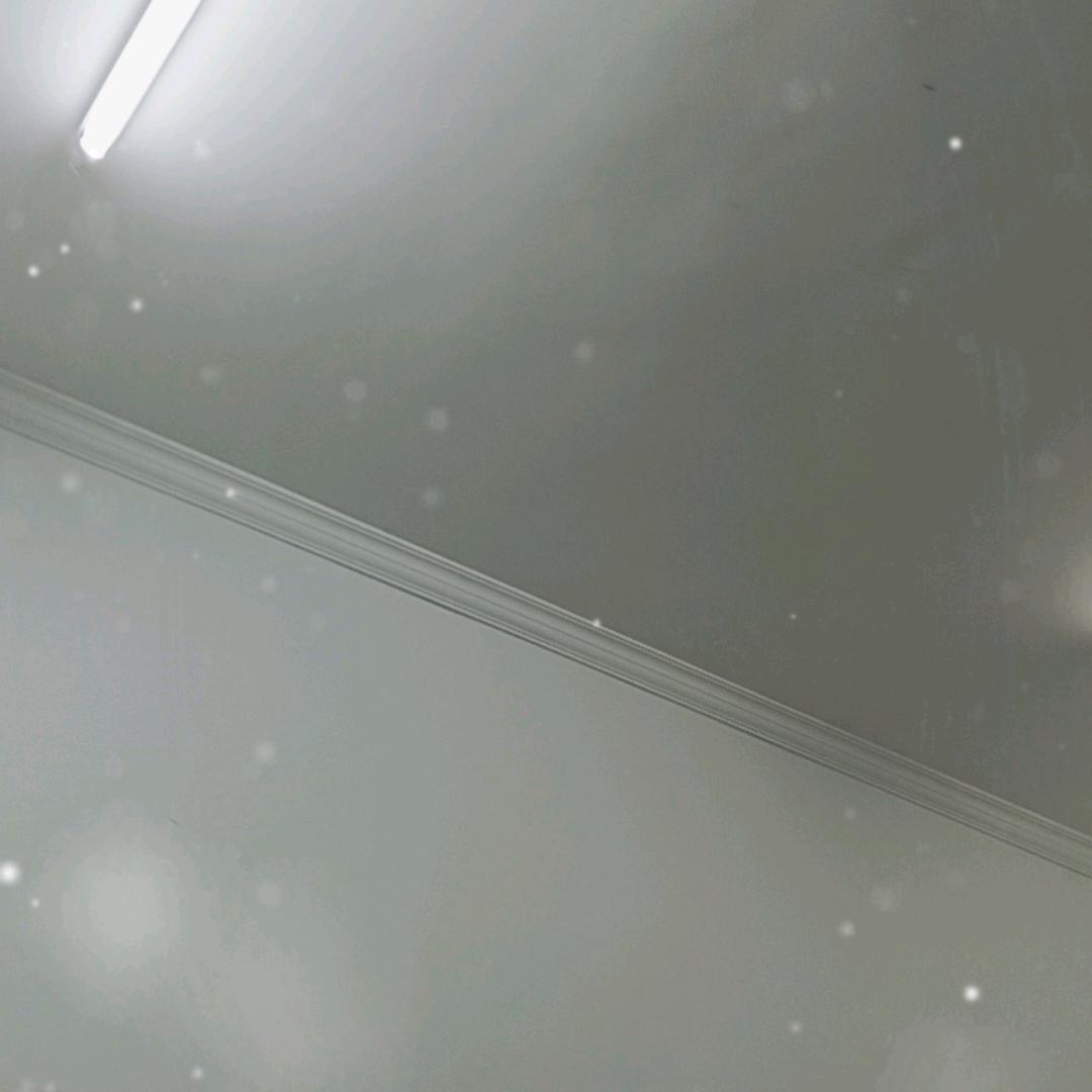 ttswyt