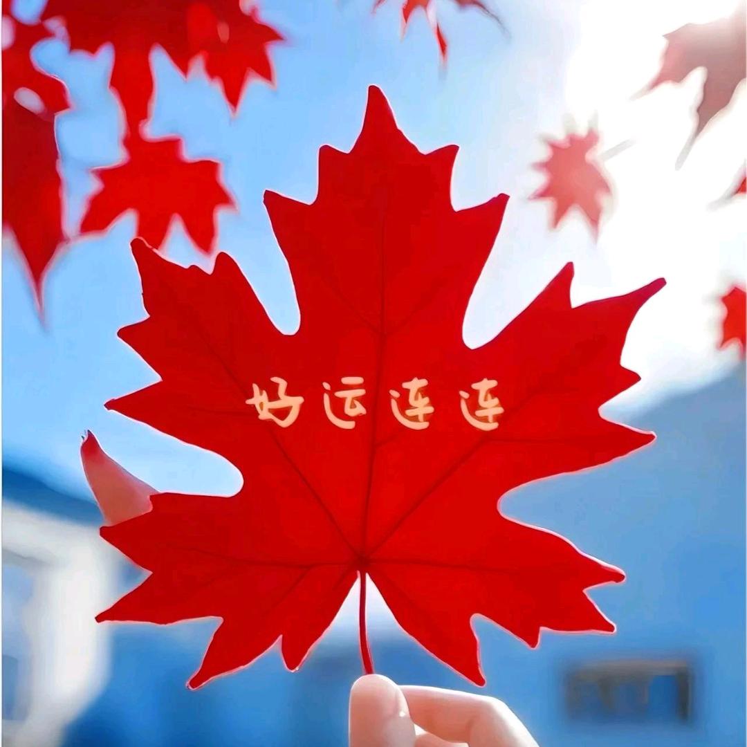 @悦宸