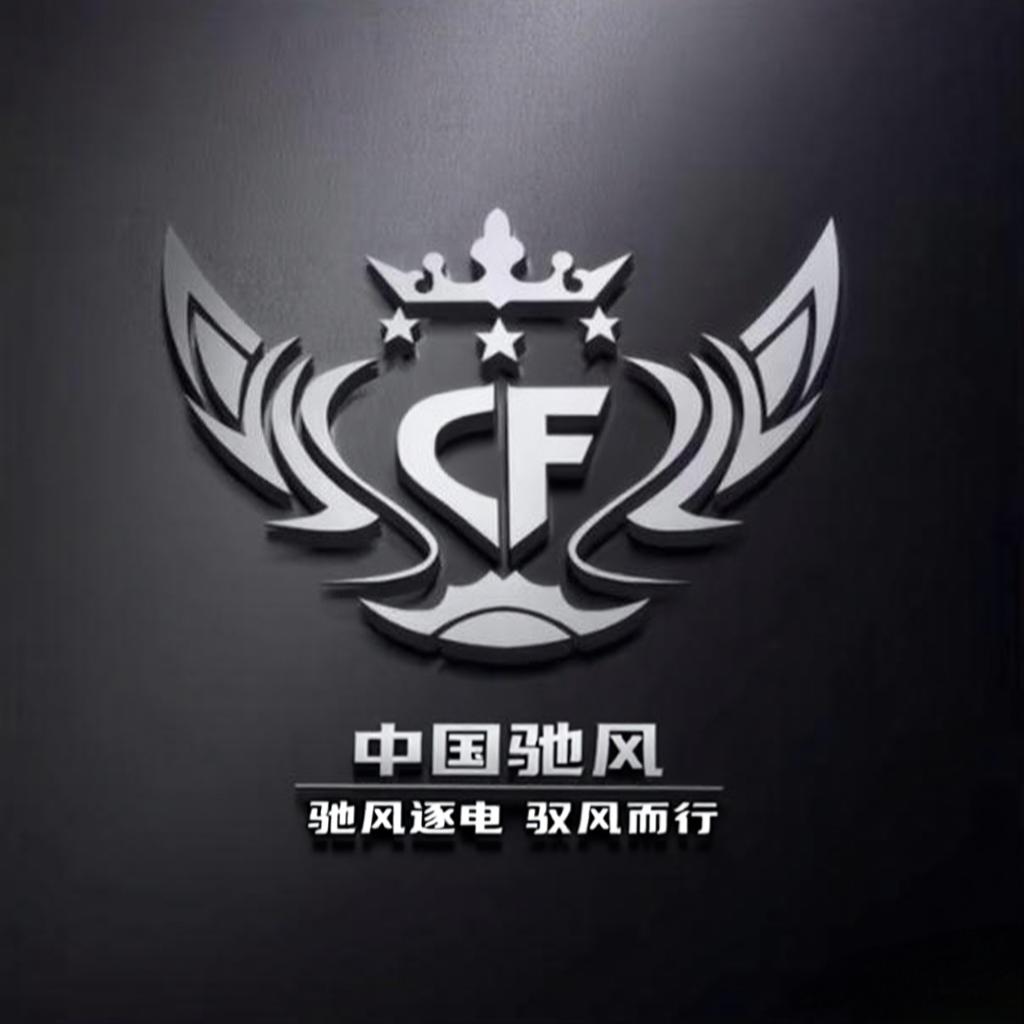 中国驰风车队