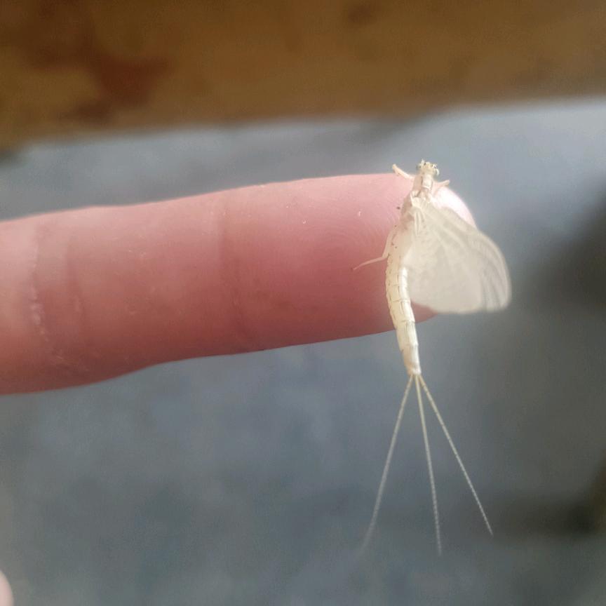 细水长流