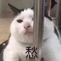 凡尘若梦