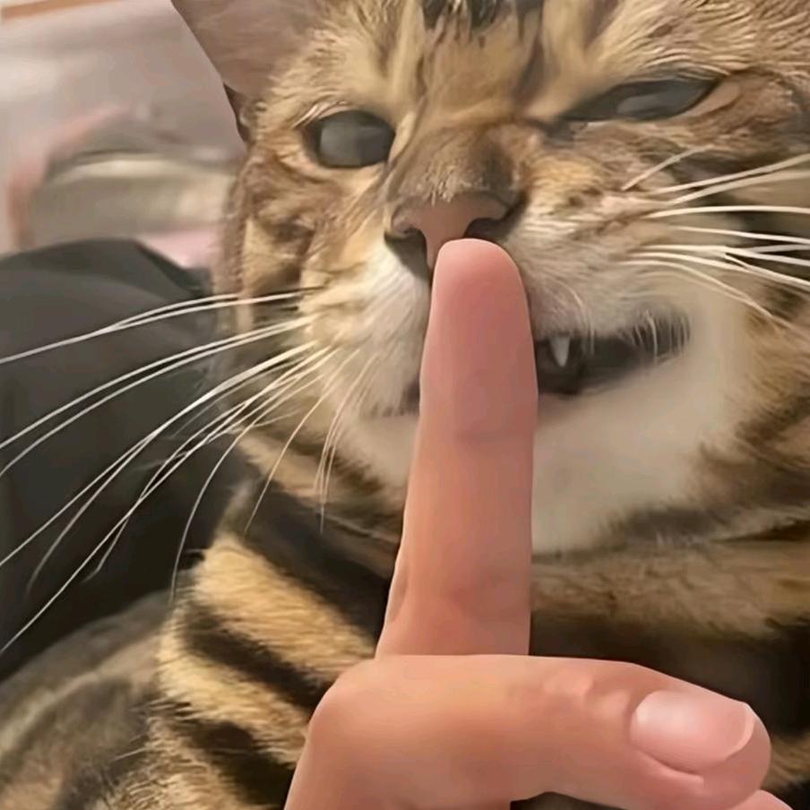 嘿嘿