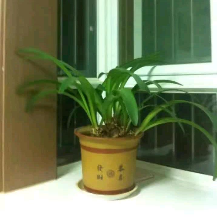 冬雨，