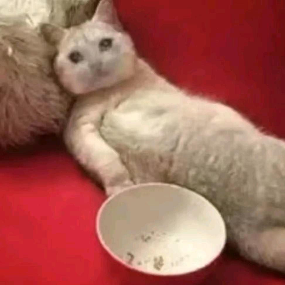 用户5418888888