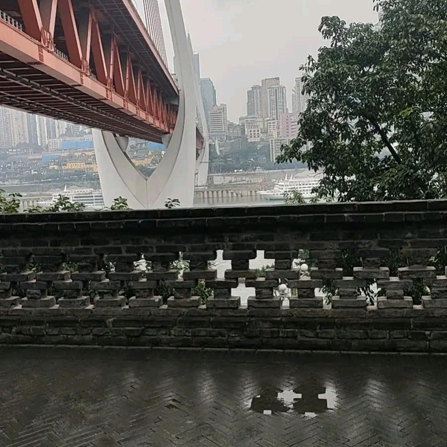 芒果