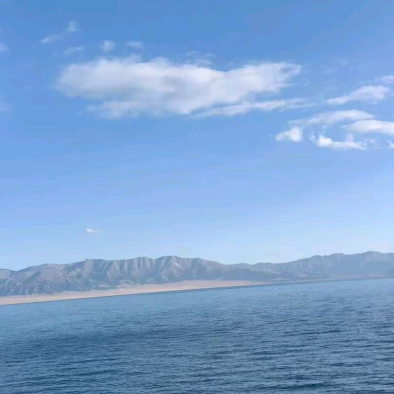 陈掌柜
