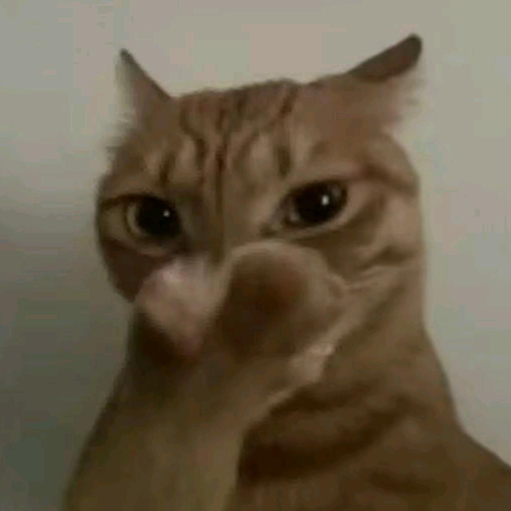 灰色轨迹