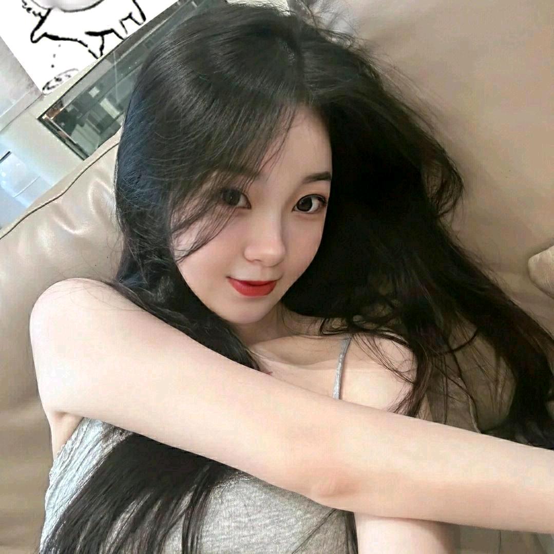 带福猪宝