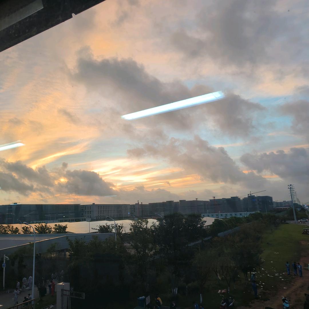 吃香菜（钓过龙版）