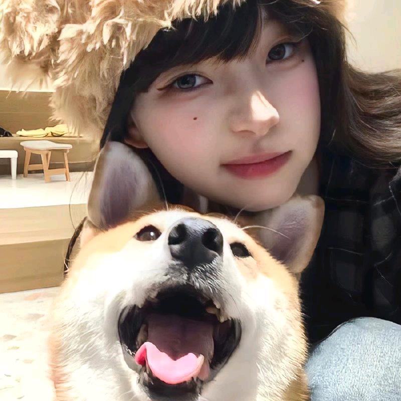腼腆大美