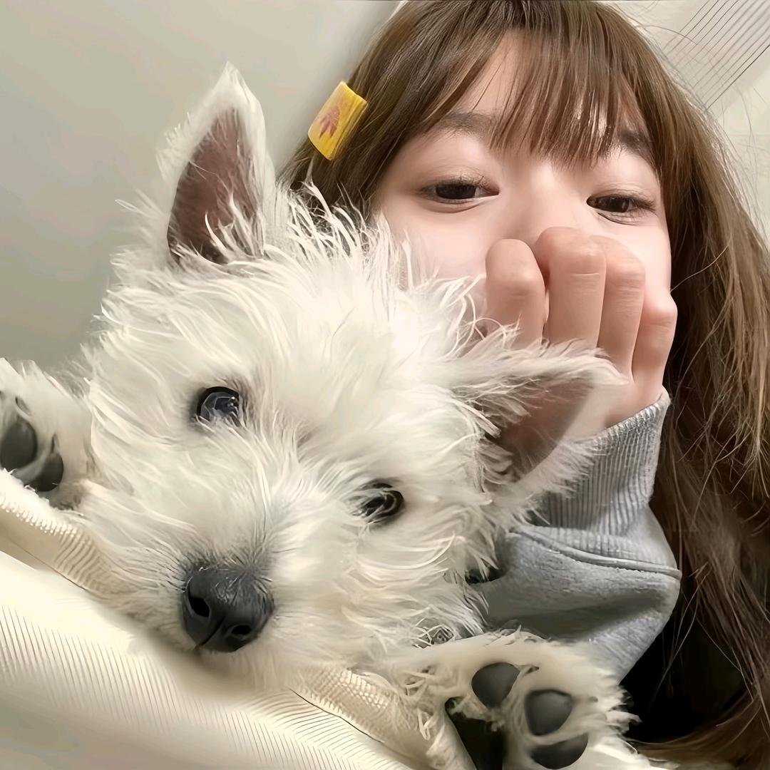 打嗝小狗