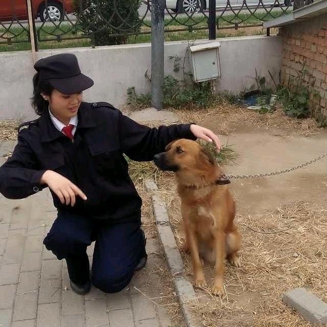 陳三妮。