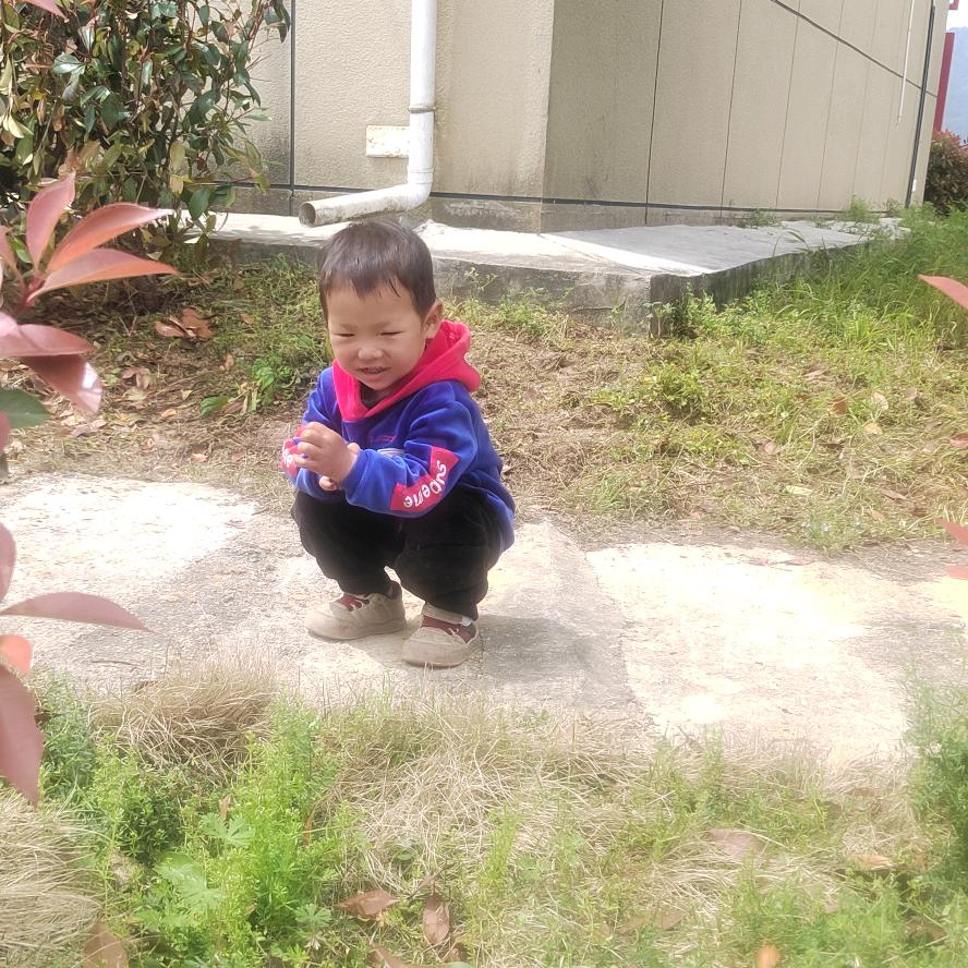 曹嘎姑凉