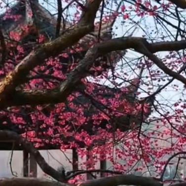 开千家五金店广州厝薰百货有限公司4福利号