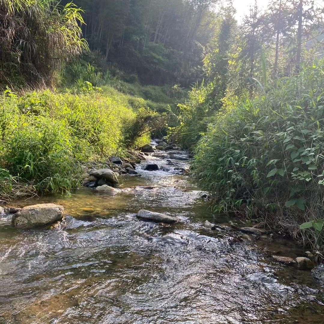 @刘(｡吖ω･头｡)ﾉ♡💃