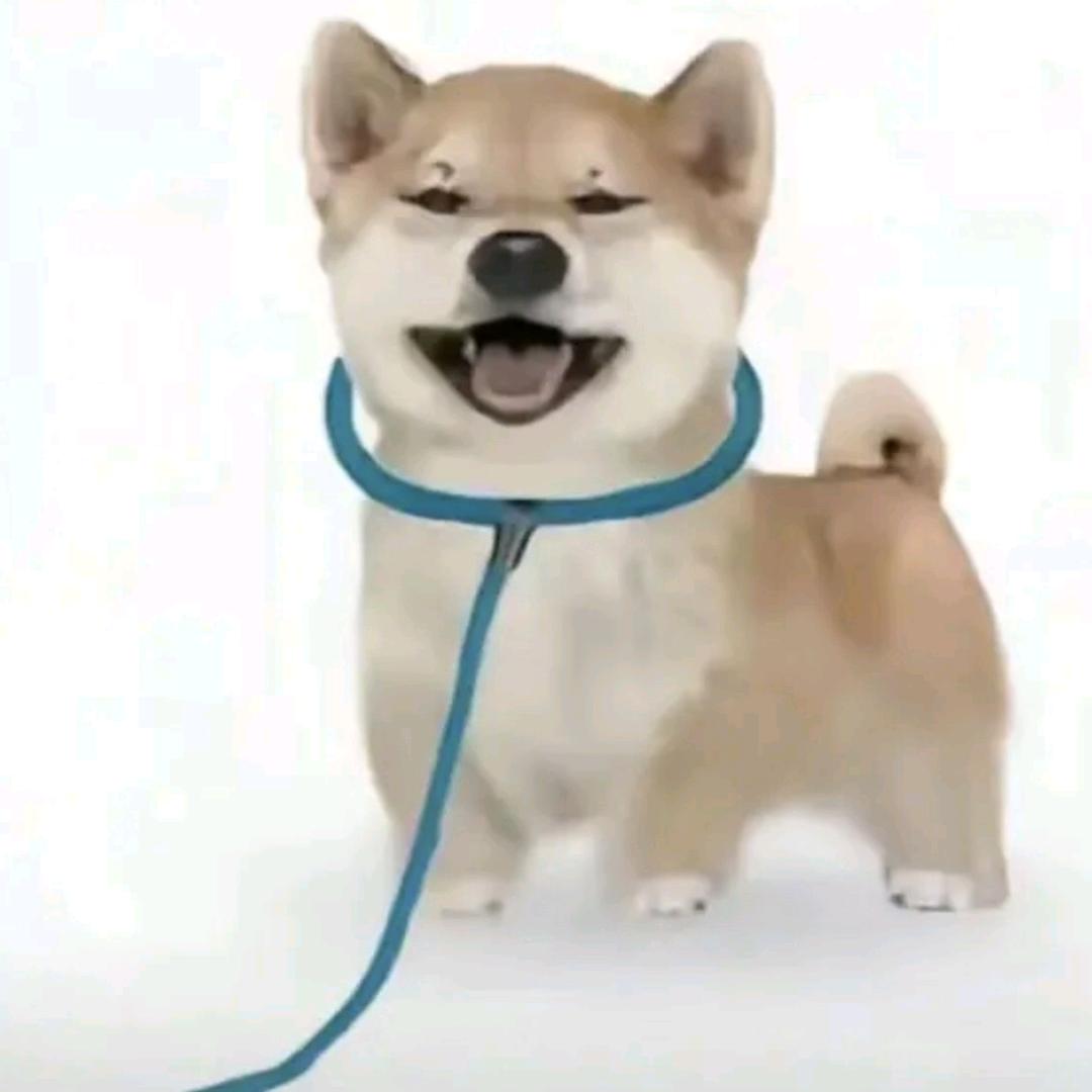 半眠星球