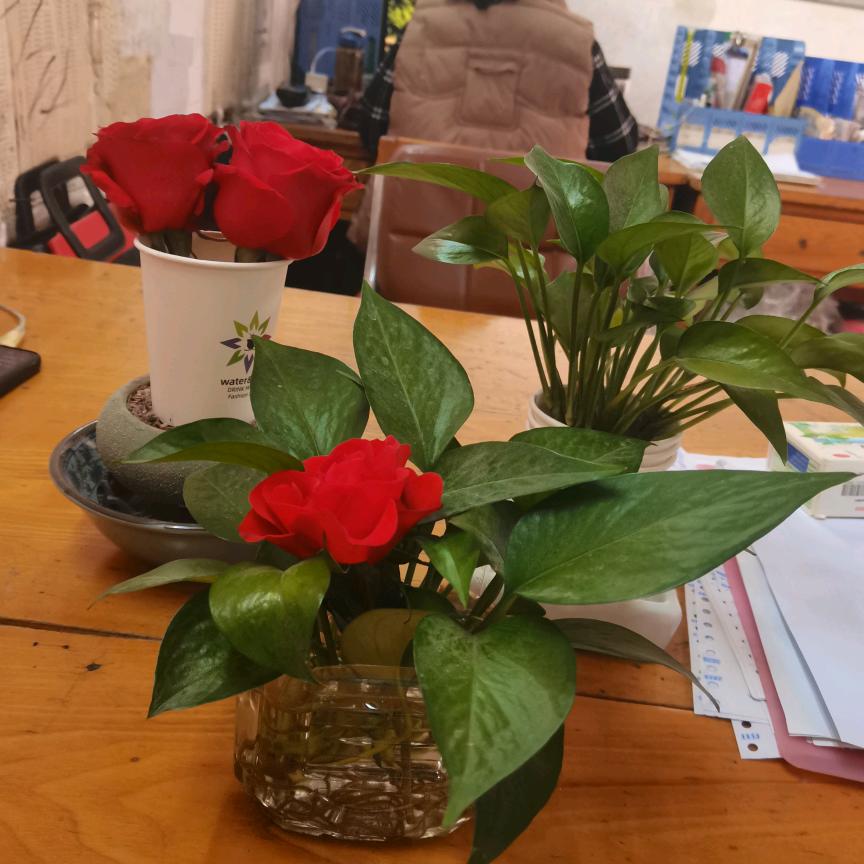 习惯有你（拒绝私聊）