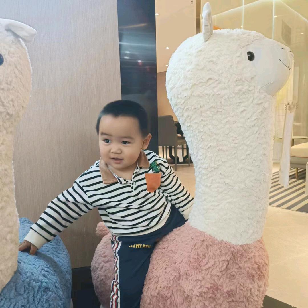 爱你🤟哟
