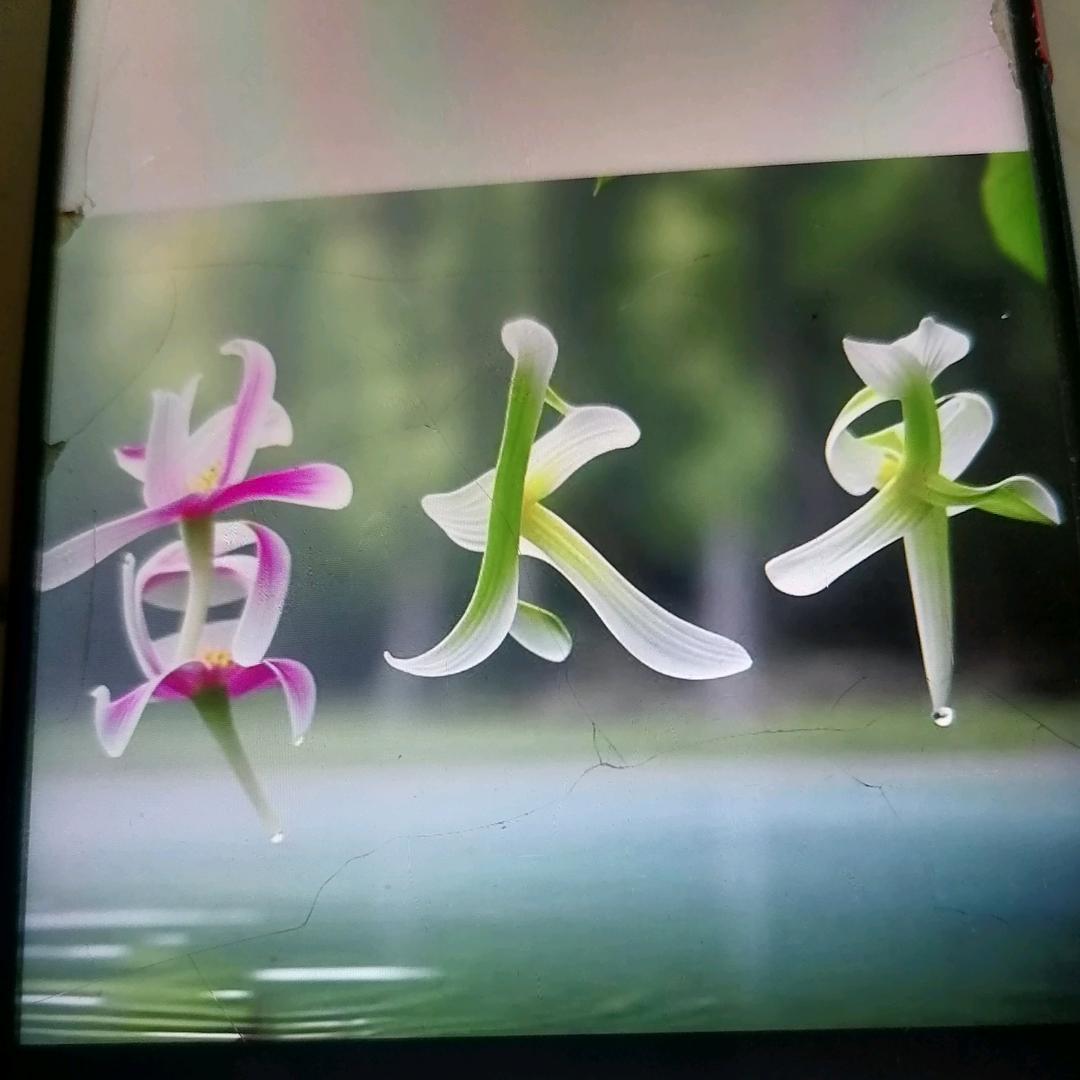 乡村音乐人平哥