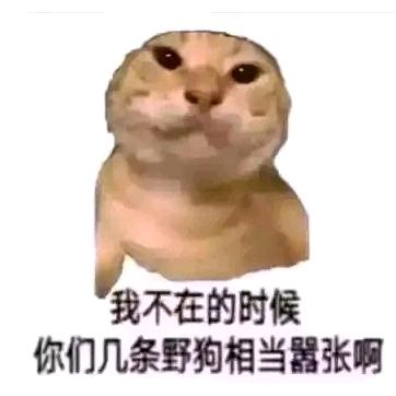 触及崩毁的旋线
