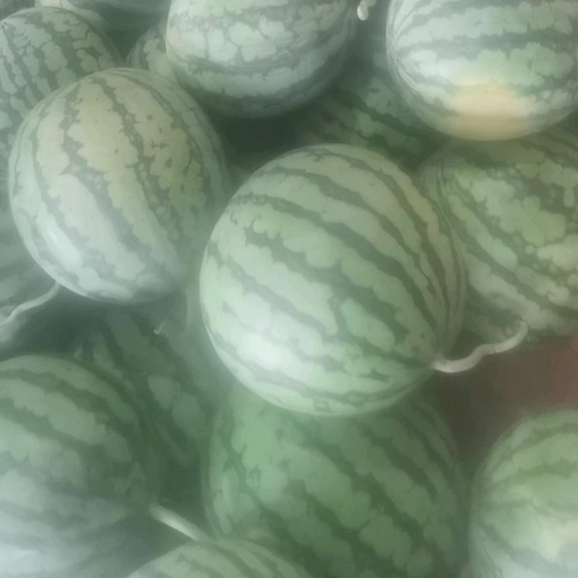 解州羊肉泡