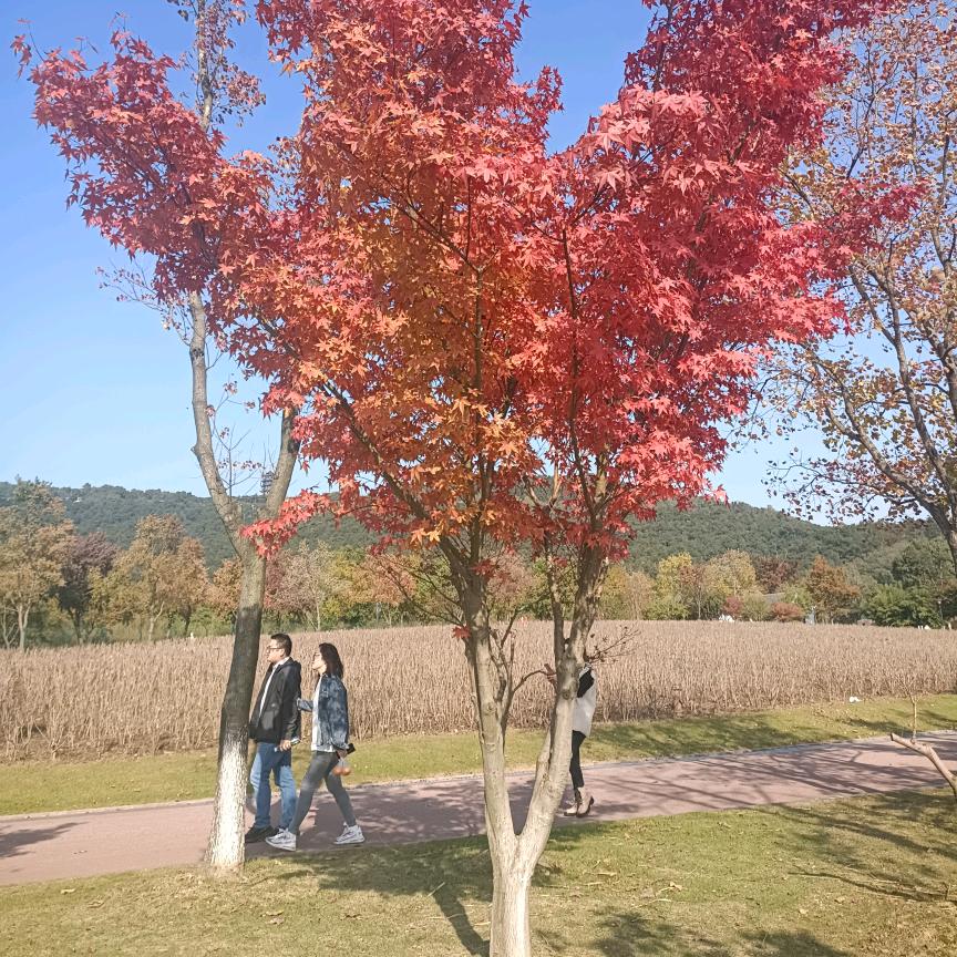 一路上有你_253729071
