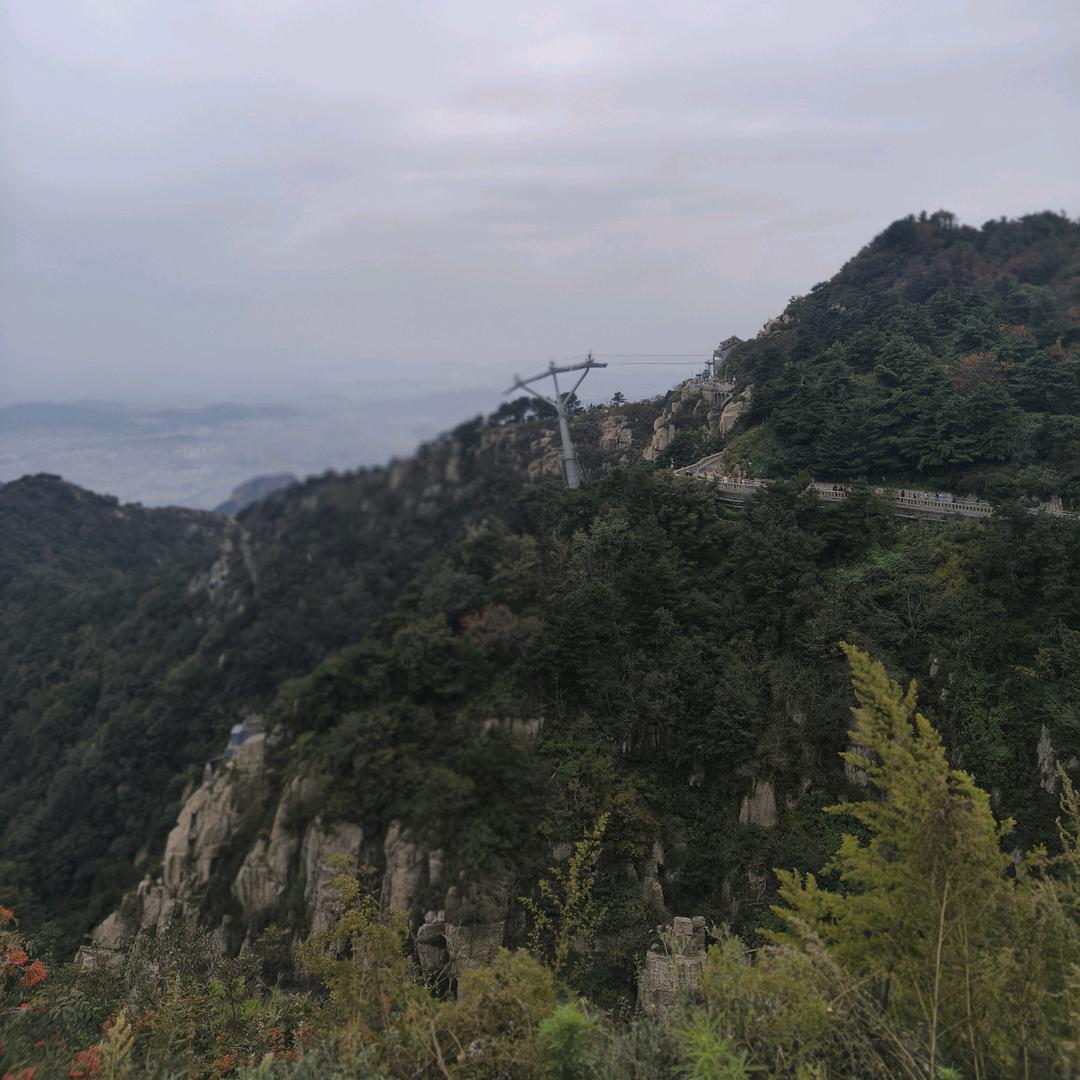 幸福港湾墙纸