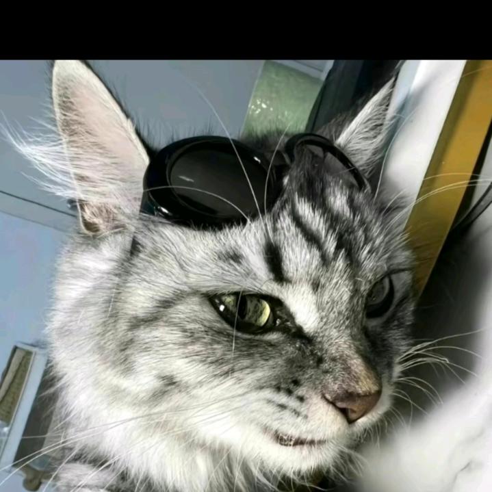 小超梦