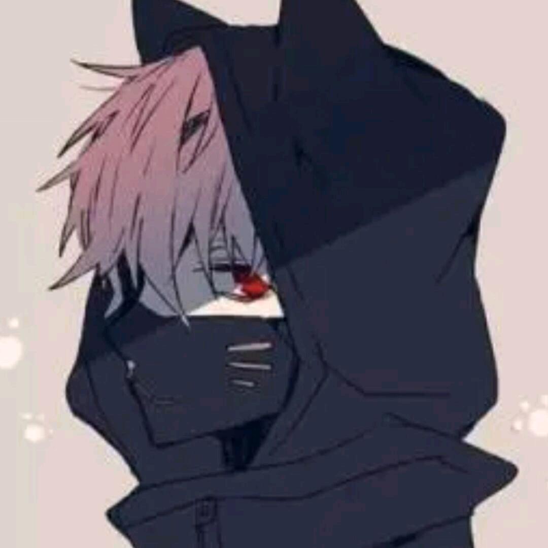 十月是只猫