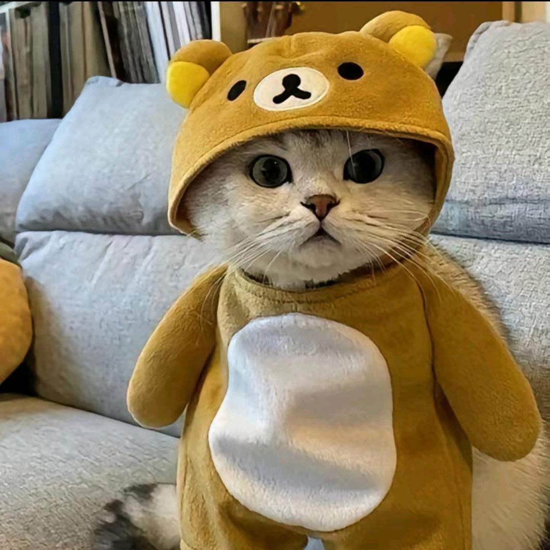 哦哦