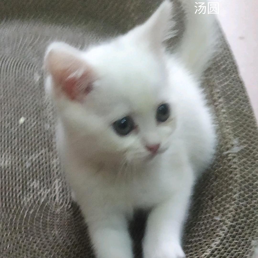 廣进必祥云103874014209