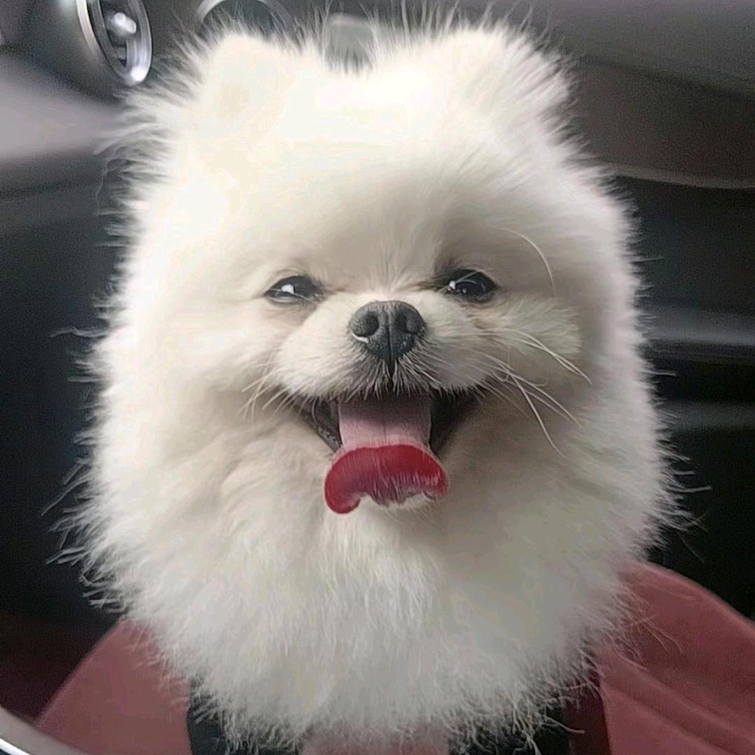 @榴槤忘返²⁵⁷⁷