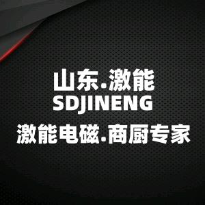 山东激能电器