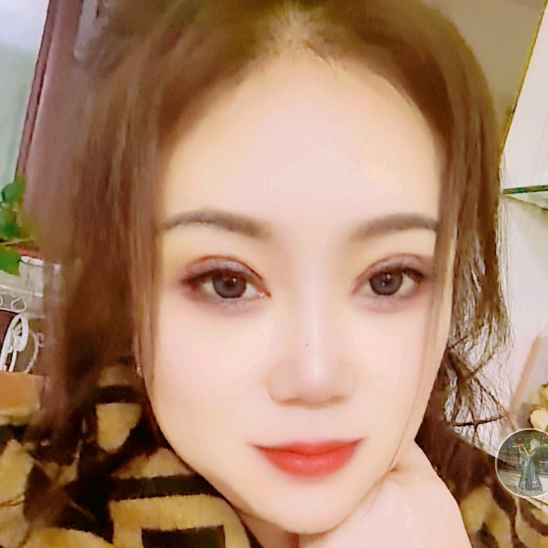 灰灰是只猫
