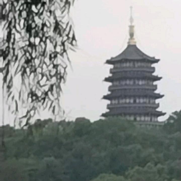 一支梅