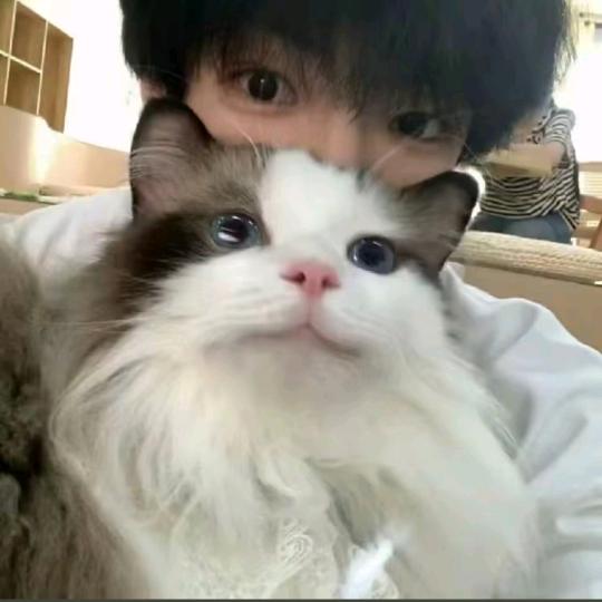吴星辰