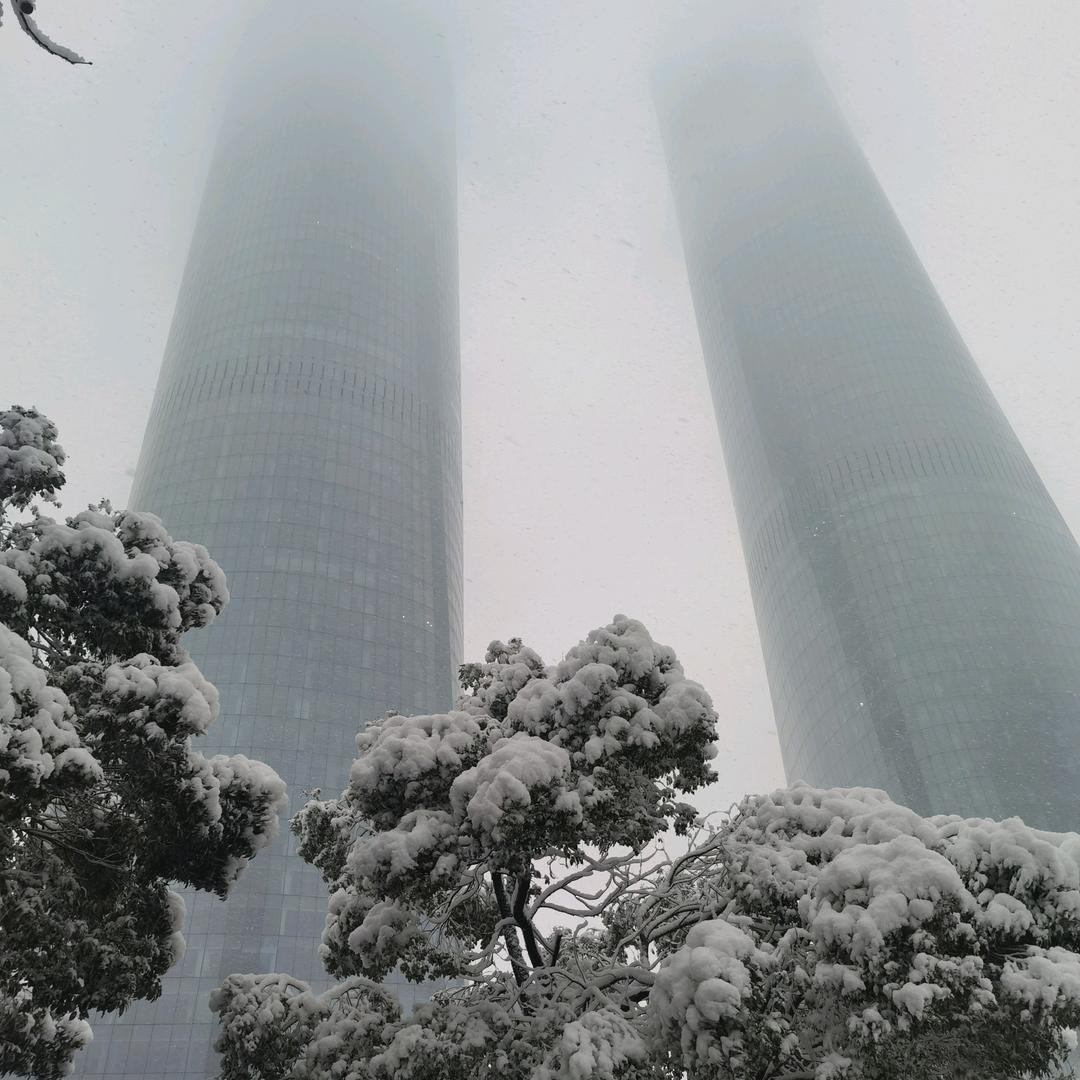 微微的张张（逢关必回、切勿连赞）