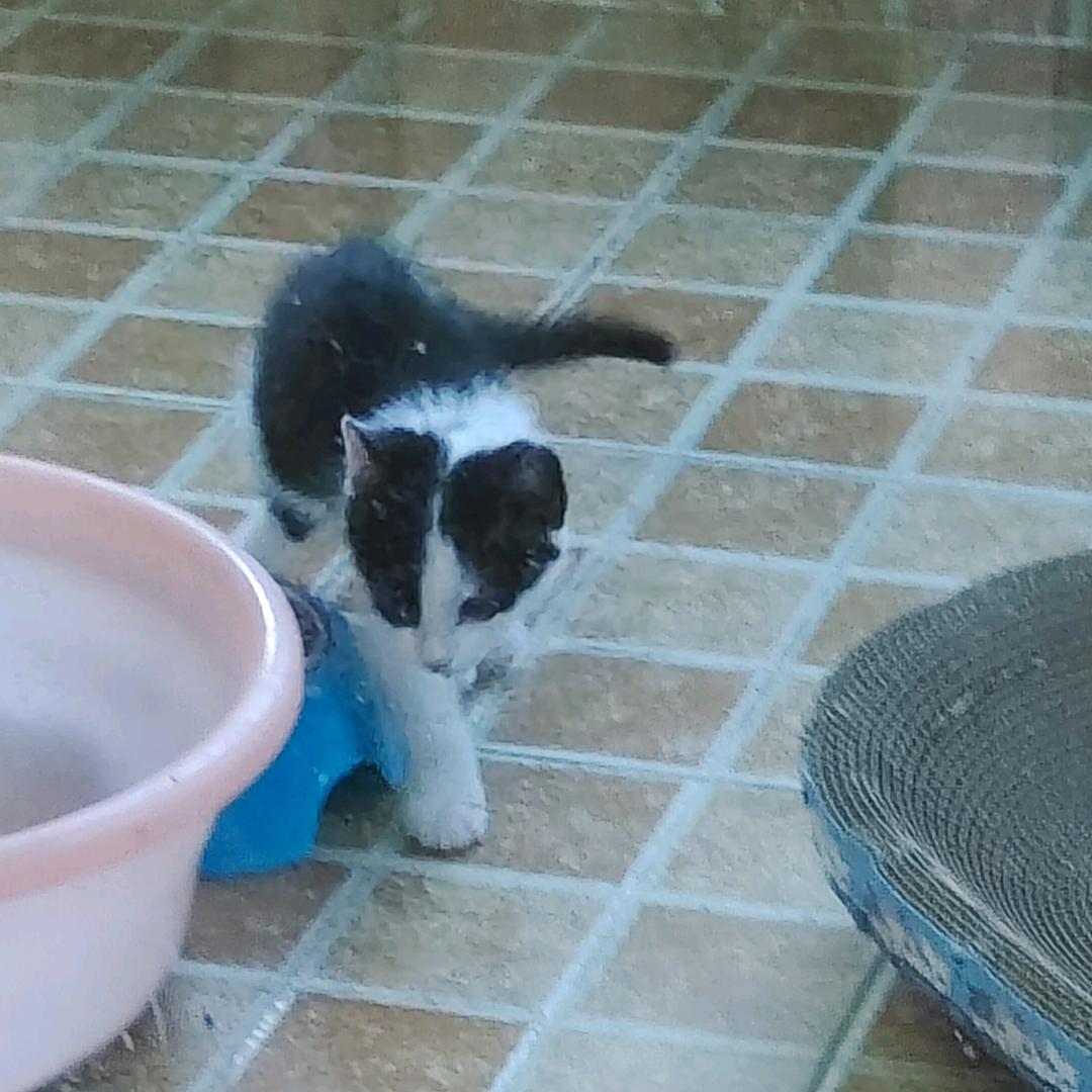 什么时候放寒假