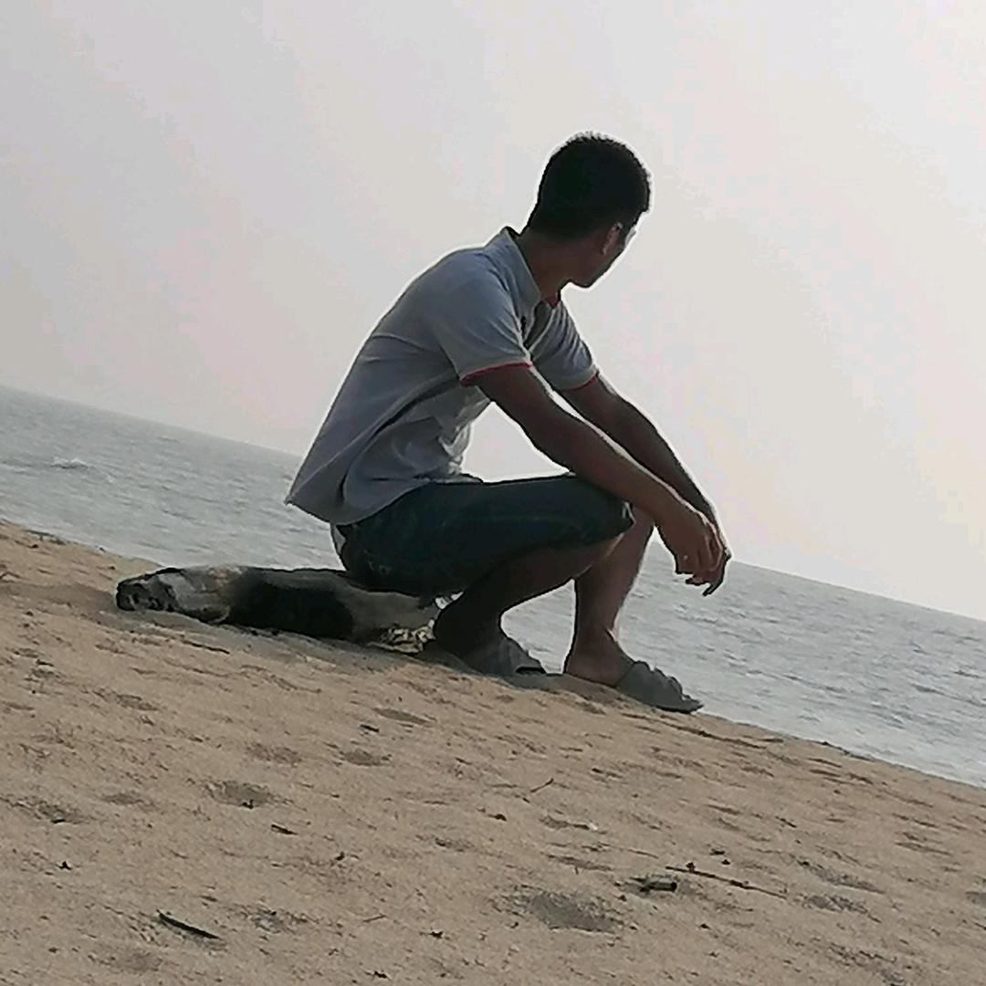 乱世流年谁为了谁