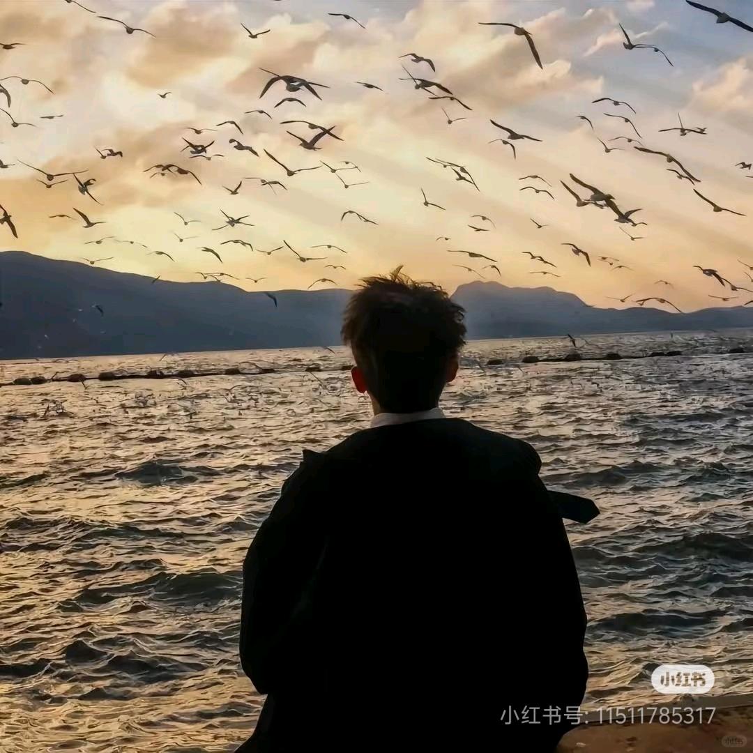 跳投土豆雷#73724