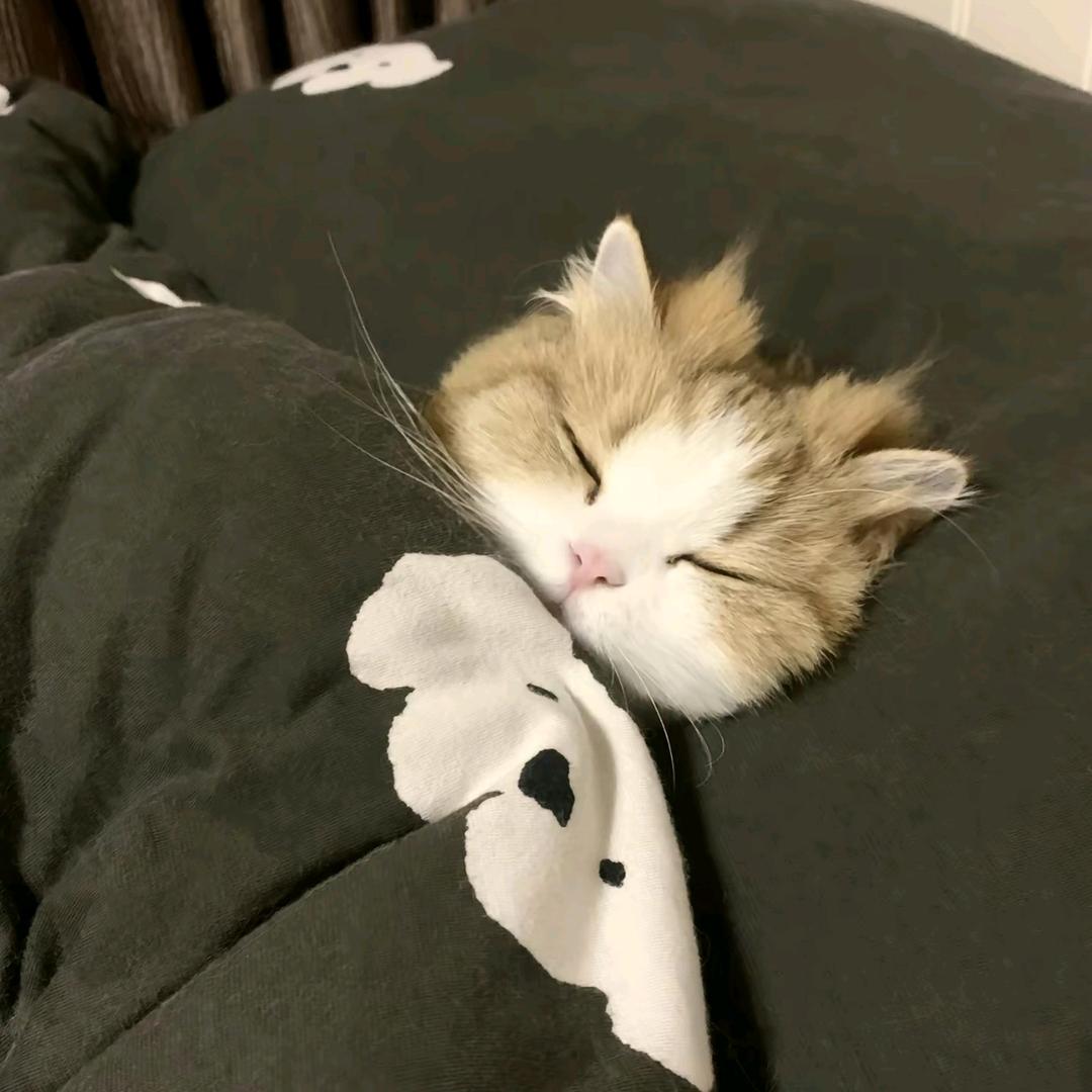 檐下风铃
