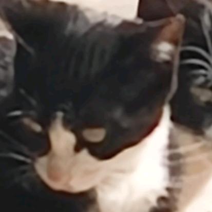 碎碎念小云（求推荐版）