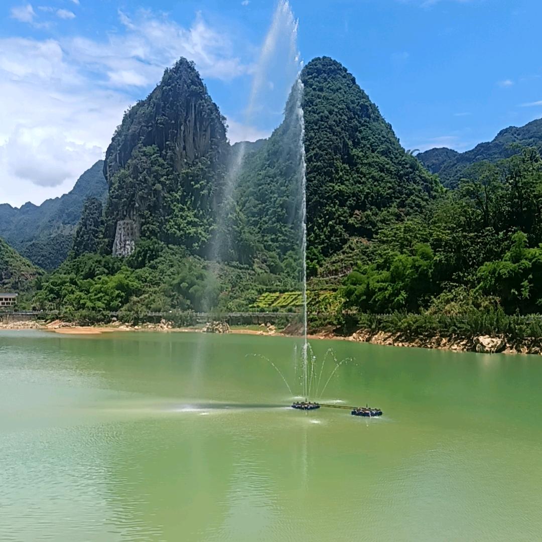 潇洒哥！