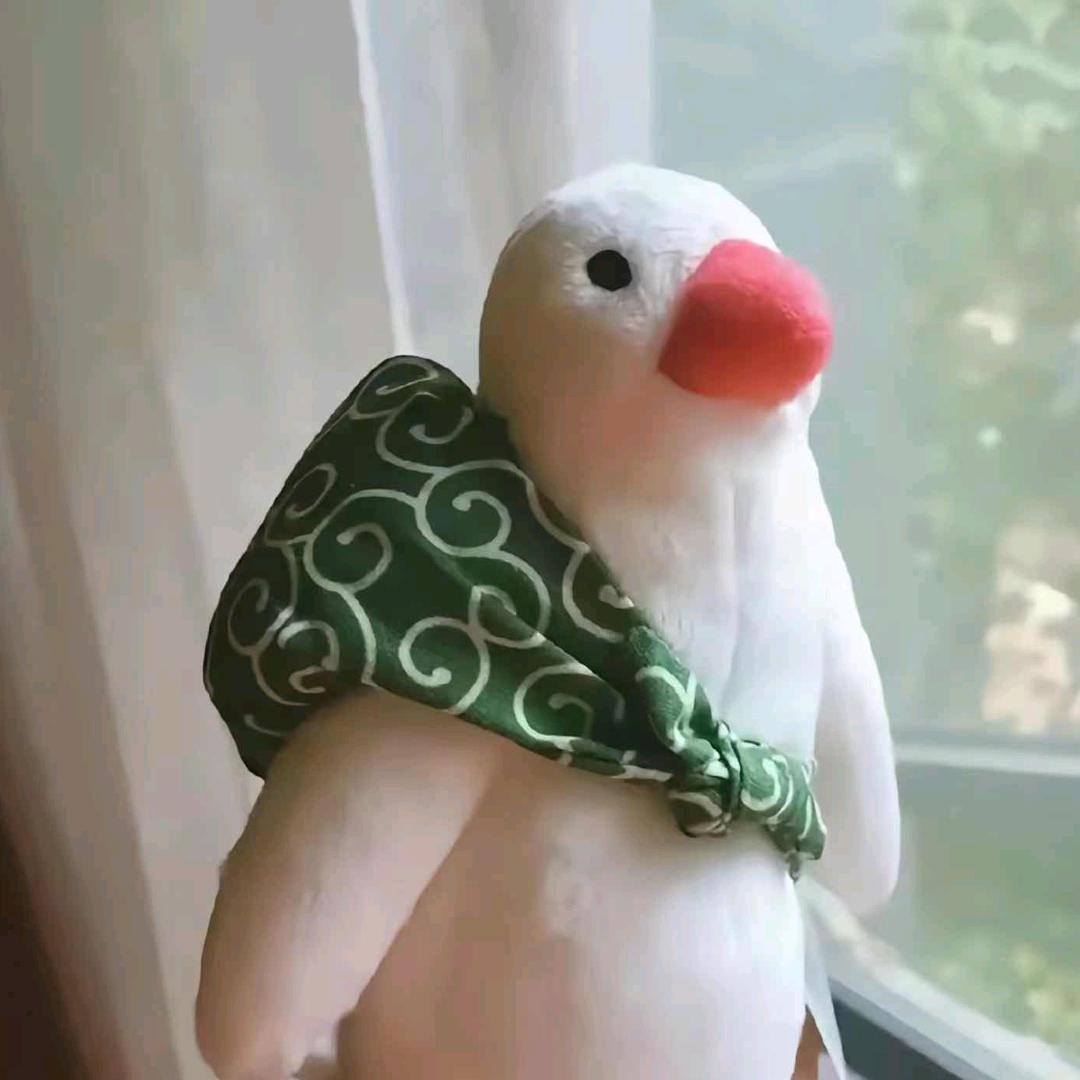 靓靓搞笑瞬间