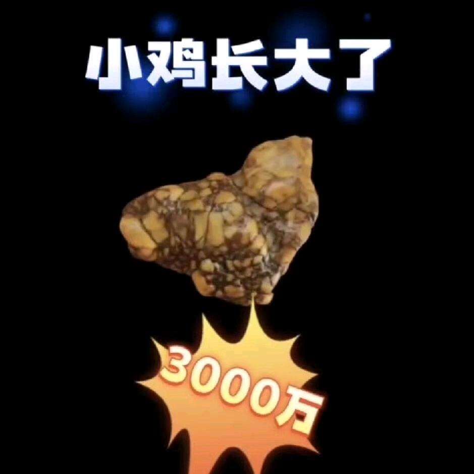 点石成金（北京）
